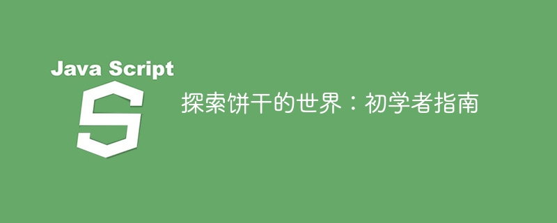 探索饼干的世界：初学者指南