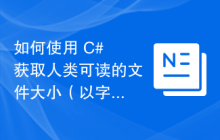 如何使用 C# 获取人类可读的文件大小（以字节缩写为单位）？