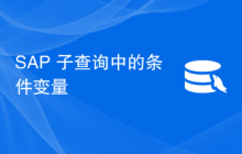 SAP 子查询中的条件变量