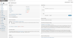 WordPress 3.2：您应该注意的重要信息