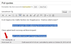 扩展默认的WordPress RSS Feed