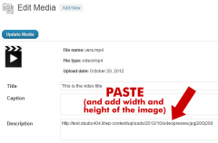 扩展默认的WordPress RSS Feed