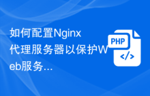 如何配置Nginx代理服务器以保护Web服务的用户身份验证信息？