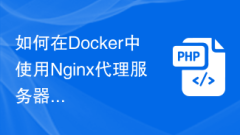 How to use Nginx proxy server in Docker to achieve horizontal expansion of web services?