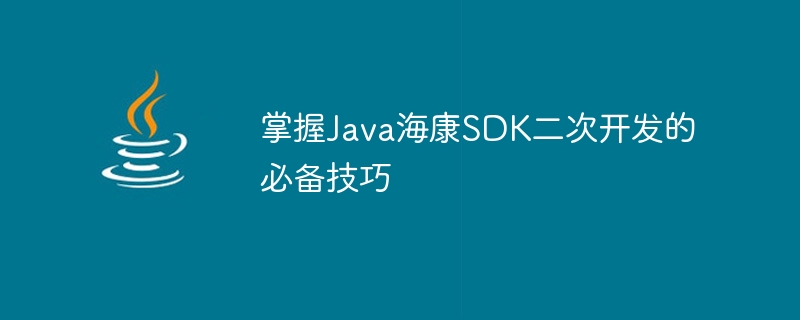 Kuasai kemahiran penting untuk pembangunan menengah Java Hikvision SDK