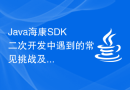 Java海康SDK二次开发中遇到的常见挑战及解决方案