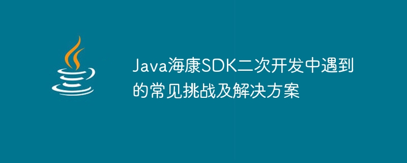 Java Hikvision SDK의 2차 개발에서 직면하는 일반적인 과제와 솔루션