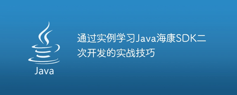 通过实例学习Java海康SDK二次开发的实战技巧