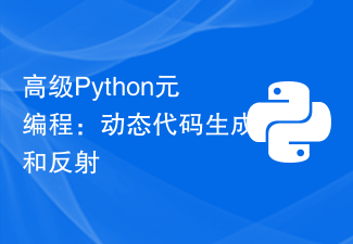 高级Python元编程：动态代码生成和反射