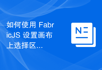 如何使用 FabricJS 設定畫布上選擇區域的邊框顏色？