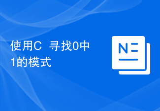 使用C++寻找0中1的模式
