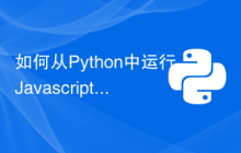 如何从Python中运行Javascript？