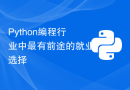 Python编程行业中最有前途的就业选择