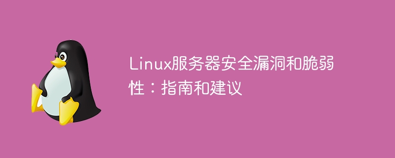 Linux 서버 보안 취약점 및 취약점: 지침 및 조언