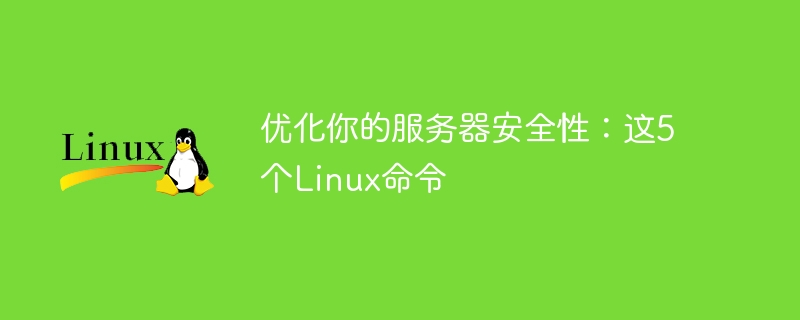 서버 보안 최적화: 5가지 Linux 명령