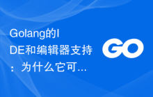 Golang的IDE和编辑器支持：为什么它可以提高开发效率？
