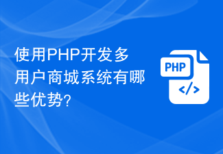 Quels sont les avantages d'utiliser PHP pour développer un système de centre commercial multi-utilisateurs ?