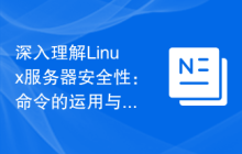 深入理解Linux服务器安全性:命令的运用与维护