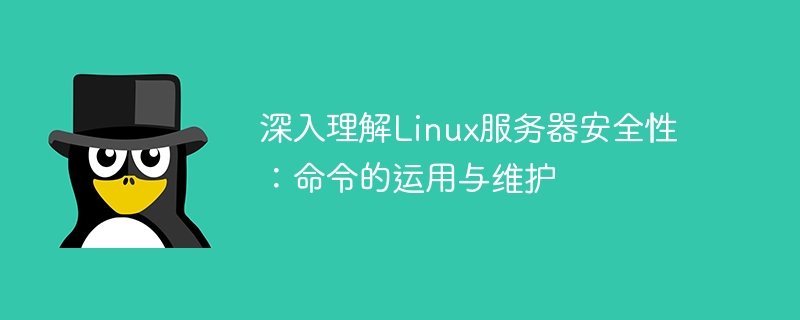 Linux 서버 보안에 대한 심층적인 이해: 명령 적용 및 유지 관리