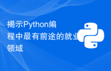 揭示Python编程中最有前途的就业领域