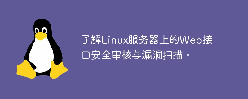 Linux サーバー上の Web インターフェイスのセキュリティ監査と脆弱性スキャンについて学びます。