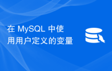 在 MySQL 中使用用户定义的变量
