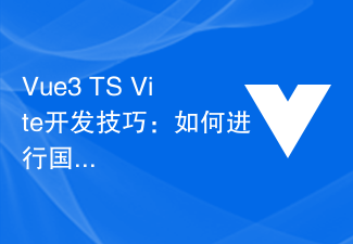 Vue3+TS+Vite 開発スキル: 国際化をサポートする方法