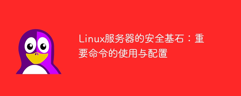 Linux 서버 보안의 초석: 중요한 명령의 사용 및 구성