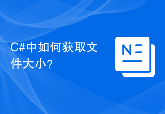 C#中如何获取文件大小？