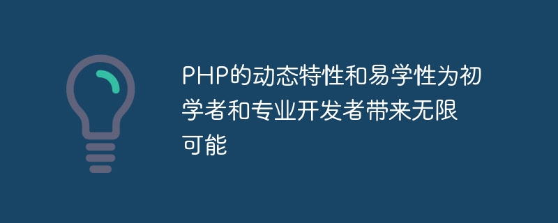 PHP의 동적 특성과 학습 용이성은 초보자와 전문 개발자 모두에게 무한한 가능성을 제공합니다.