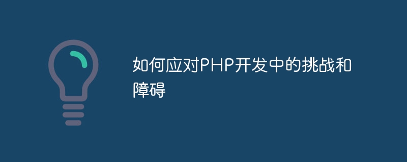 PHP 開発における課題や障害にどう対処するか