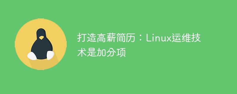 Erstellen Sie einen hochbezahlten Lebenslauf: Linux-Betriebs- und Wartungstechnologie ist ein Plus