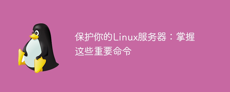 Linux 서버 보호: 중요한 명령을 숙지하세요