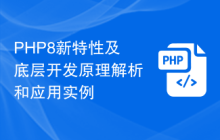 PHP8新特性及底层开发原理解析和应用实例