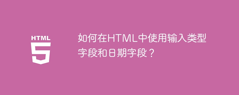 HTML에서 입력 유형 필드와 날짜 필드를 사용하는 방법은 무엇입니까?