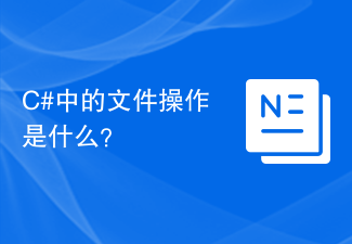 C#中的文件操作是什么？