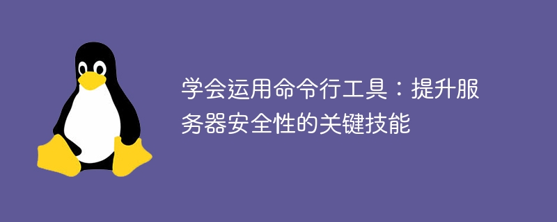 명령줄 도구 사용법 배우기: 서버 보안을 향상시키는 핵심 기술