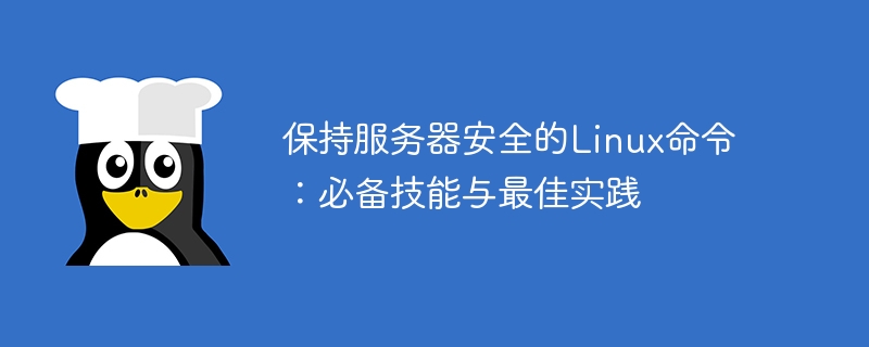 서버 보안을 유지하는 Linux 명령: 필수 기술 및 모범 사례