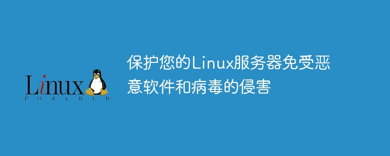 保護您的Linux伺服器免受惡意軟體和病毒的侵害