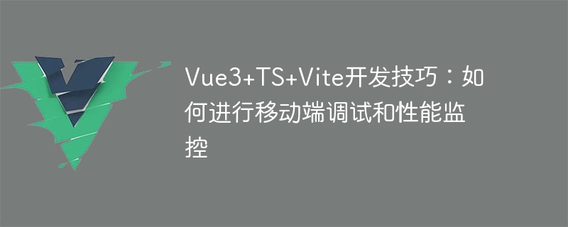 Vue3+TS+Vite 개발 기술: 모바일 단말기에서 성능을 디버깅하고 모니터링하는 방법