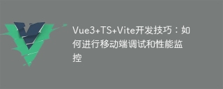 Vue3+TS+Vite development skills: how to debug and monitor performance on mobile terminals