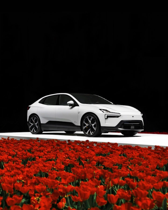 Polestar-CEO verrät Pläne: Chinas erstes Elektroauto wird bald vorgestellt