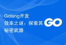 Golang开发效率之谜：探索其秘密武器