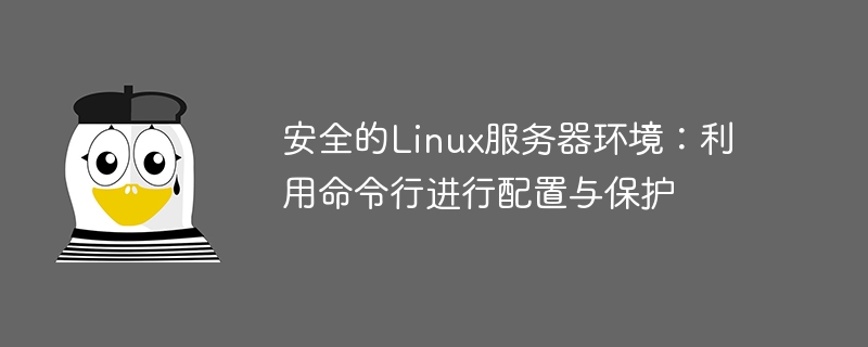 Sichere Linux-Serverumgebung: Konfigurieren und sichern Sie über die Befehlszeile