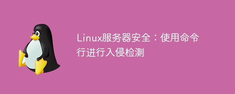 Linux服务器安全：使用命令行进行入侵检测
