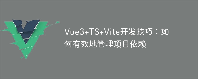 Vue3+TS+Vite开发技巧：如何有效地管理项目依赖