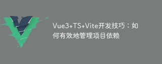 vue3+ts+vite开发技巧：如何有效地管理项目依赖