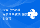 探索Python编程领域中最热门的就业选项