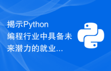 揭示Python编程行业中具备未来潜力的就业方向