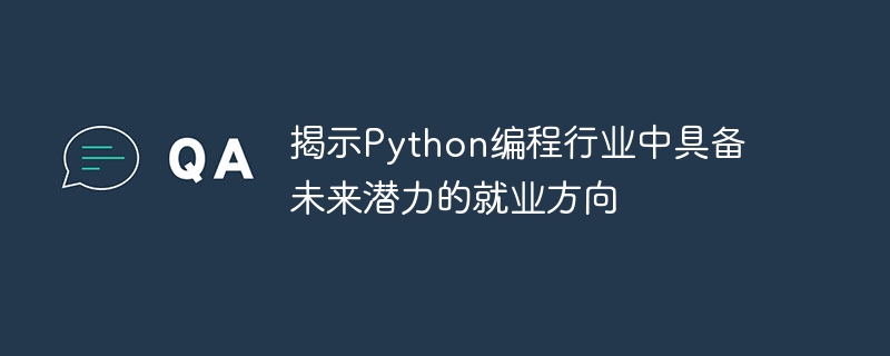 Python 프로그래밍 산업에서 잠재적인 미래 고용 방향 공개